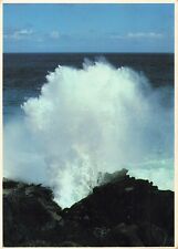 Honolulu Hawaii, Blow Hole, Island of Oahu, Vintage Postcard picture