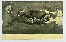 1907 Women Milking A Cow. ￼Funny Vintage Postcard picture