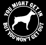 You might get in but you won't get out doberman pinscher car bumper sticker 098 picture