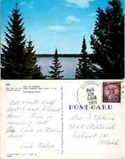 Vintage Postcard - Lake in Summer, Michigan  picture