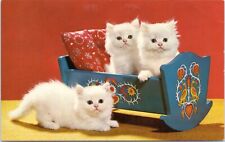 c1950's Don't Rock Our Cradle, three kittens, Vintage Chrome, cats, sweet picture