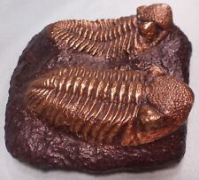 REDUCED SOLID Bronze TRILOBITE Fossil Sculpture SURVIVED Hurricane Ian 2022 picture