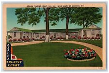 Manning South Carolina Postcard Azalea Tourist Court Field c1940 Vintage Antique picture