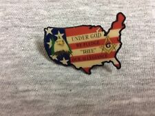 Vintage 2003-2004 American Flag US Map Florida Masons Lapel Pin picture