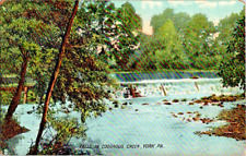 York Pa falls in Codorous Creek vintage postcard a57 picture