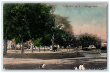 c1910's Village Park Tompkins County Dryden New York NY Posted Antique Postcard picture