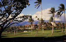 Vtg Picture Film Slide, Hawaii Island, Ōhi'a lehua Trees, Landscape, Mountains picture