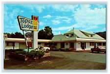 c1950s Scene Outside Topaz Lodge Buena Vista Colorado CO Vintage Postcard picture
