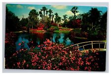 Postcard Florida Cypress Gardens Greetings picture