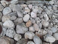 Unopened 15lbs Kentucky Geodes Box Natural Quartz Crystal Variety picture