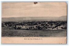c1905 Bird's Eye View of Waverly New York NY Vintage Antique Unposted Postcard picture