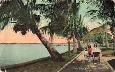 Palm Beach Florida, Kids with Stroller Walking near Lake Worth, Vintage Postcard picture