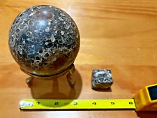 Lot of 2 Turritella Agate Stones: 1 Sphere 1 Cube Delaney Rim Frmtn Kemmerer WY picture