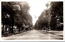 Real Photo PC Road Street Scene Up the Hill to Olivet College in Olivet Michigan picture