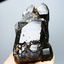 485g Natural Rare Beautiful Black QUARTZ Crystal Cluster Mineral Specimen picture