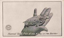 Horned Toad Pet of the Army El Paso Texas Kavanaugh's War Postals Postcard picture