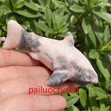 1pcs Natural Pink Zebra Shark Quartz Crystal Skull Carved Figurines Healing 3