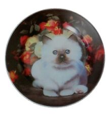 White Fluffy Kitten Brown Accented Nose & Ears Cute Decorative Plate 7