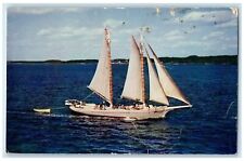 c1960s The Main Passenger Schooner Alice Wentworth Rockland ME Unposted Postcard picture