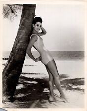 Unknow Actress (1950s) 🎬⭐ Original Vintage - Leggy Cheesecake Photo K 331 picture