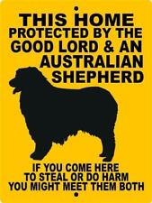 0272 Australian Shepherd 9