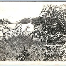 c1910s Navy Sailor Man Chopping Trees RPPC Brush Broad Axe Head Real Photo A127 picture