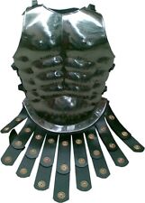 Greek Royal Muscle Armor Cuirass- Greek Costume- Halloween- One Size picture