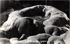 VTG Postcard- 91-C. SHOWER BOWL, OZARK CAVERNS, Real Photo. Unused 1950 picture