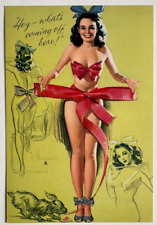 Hey What's Coming Off Here, Vintage 1940s Earl Mac Pherson Pin-Up, Sexy Brunette picture