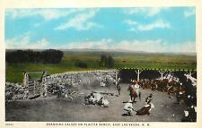 c1920 Postcard Branding Calves on the Placita Ranch, East Las Vegas NM picture