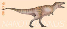 Pnso Nanotyrannus Logan Model Tyrannosaurs Dinosaur Animal Collector Decor Gift picture