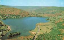 Allegany State Park Red House Lake Aerial Air View Chrome New York VTG P94 picture