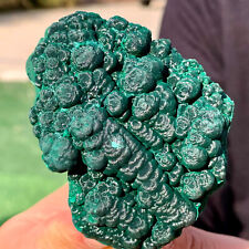 174G Natural glossy Malachite cat eye transparent cluster rough mineral sample picture