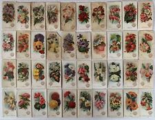 Beautiful Flowers 40 different Cards Small size Arm & Hammer 1888 J16 New series picture