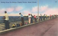 Miami FL Florida, Fishing from Bridges, Popular Pastime, Vintage Postcard picture