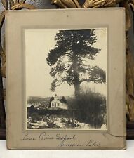 Antique Photo Lone Pine School - Summer Lake, Oregon picture