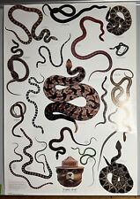 Vintage 1987 Smokey The Bear Snakes ALIVE Poster picture