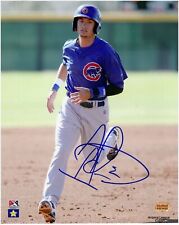 Albert Almora-Chicago Cubs/Kane County Cougars-Autographed 8x10 Photo picture