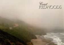 Fog On Coast Redwood National Park California Postcard picture