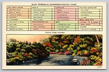 Vintage Postcard Busy Persons Correspondence Card Check Box Flowers Greeting  picture