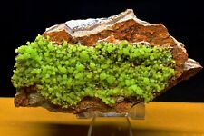 113g TOP Natural Pyromorphite Crystal Cluster collection Mineral Specimen China picture