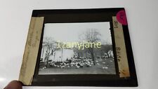 QKX Glass Magic Lantern Slide Photo CHICKENS IN YARD AND COOPS picture