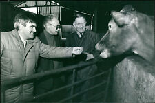 Norman Buchan with Mr. Alan Lark and Mr. Peter... - Vintage Photograph 2549468 picture
