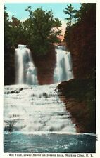Vintage Postcard 1920s Twin Falls Lower Hector Seneca Lake Watkins Glen New York picture