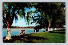 Marco FL-Florida, Marco Island Inn And Cottages, Antique, Vintage Postcard picture