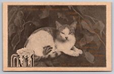 Red Cross Pub Co. St. Louis Missouri Prohibition Anti-Drinking Cat c1920s PC picture