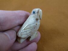 y-bir-pa-14 PARROT Macaw bird gray white gemstone SOAPSTONE figurine love birds picture