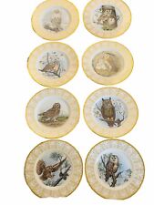 Complete Set Of 8 Edward Marshall Boehm Bone China Owl Plates Collection MINT picture