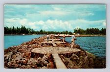 Venice FL- Florida, Fishing Scene, Antique, Vintage c1959 Souvenir Postcard picture
