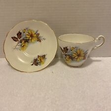 Vintage Daisy Tea Cup and Saucer Regency Bone China From England picture